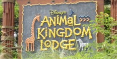 Animal Kingdom Lodge