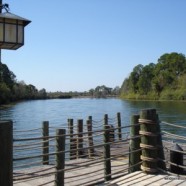 Waterside Bungalows Coming to Disney’s Wilderness Lodge
