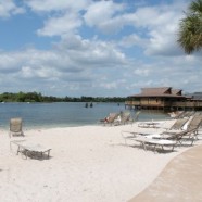 New Photos from Disney’s Polynesian Village Resort