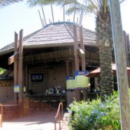 Favorite Walt Disney World Pool Bars