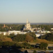 Work Continues at Flamingo Crossing Area Near Walt Disney World Resort