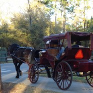 Haunted Carriage Rides at Disney’s Fort Wilderness Resort Haunted Carriage Rides at Disney’s Fort Wilderness Resort