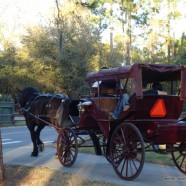 Haunted Carriage Rides at Disney’s Fort Wilderness Resort