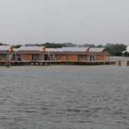 Construction Updates from Disney’s Polynesian Resort