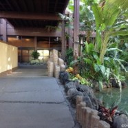 More Updates from Disney’s Polynesian Village Resort More Updates from Disney’s Polynesian Village Resort