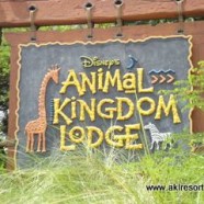 Culinary Tours at Disney’s Animal Kingdom Lodge