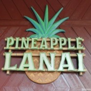 Pineapple Lanai Opens at Disney’s Polynesian Village Resort Pineapple Lanai Opens at Disney’s Polynesian Village Resort