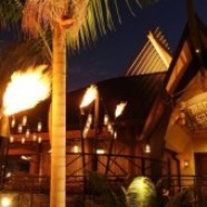 ‘Mahaloween Luau’ Planned for Disneyland Hotel’s Trader Sam’s Enchanted Tiki Bar
