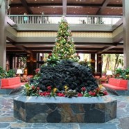 News! Photos from the Updated Lobby at Disney’s Polynesian Village Resort