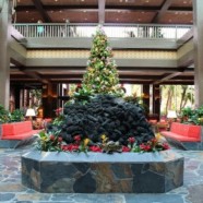 News! Photos from the Updated Lobby at Disney’s Polynesian Village Resort News! Photos from the Updated Lobby at Disney’s Polynesian Village Resort