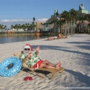 Enjoy Christmas at the Walt Disney World Swan and Dolphin