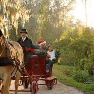 Holiday Sleigh Rides at Disney’s Fort Wilderness Resort and Campground Holiday Sleigh Rides at Disney’s Fort Wilderness Resort and Campground