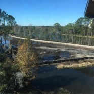 Construction Updates from Disney’s Wilderness Lodge