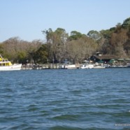 Walt Disney World Resort Posts “No Fishing” Signs at Resorts Walt Disney World Resort Posts “No Fishing” Signs at Resorts